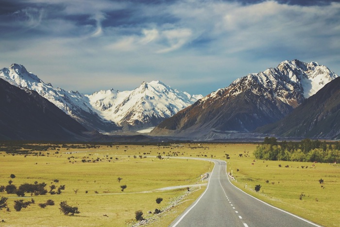 A long highway in the bucket list destination New Zealand