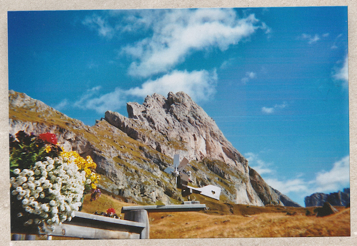 Digital Detox in Südtirol: Blumen an der Troier Hütte