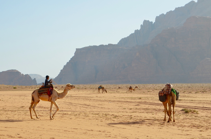 Beduinen mit Kamel im Wadi Rum
