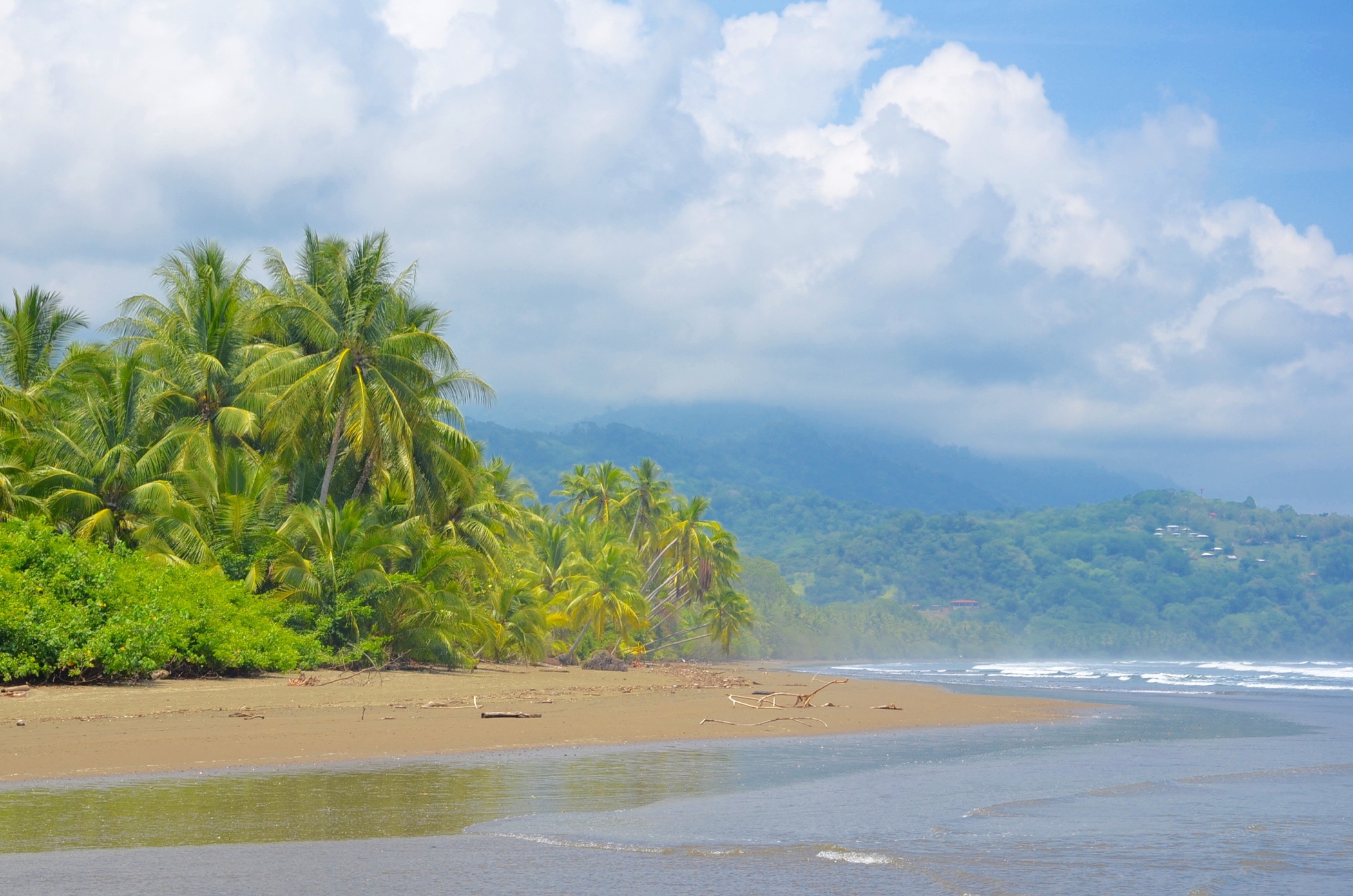 Liebeserklärung Ode an die Natur wie in Costa Rica