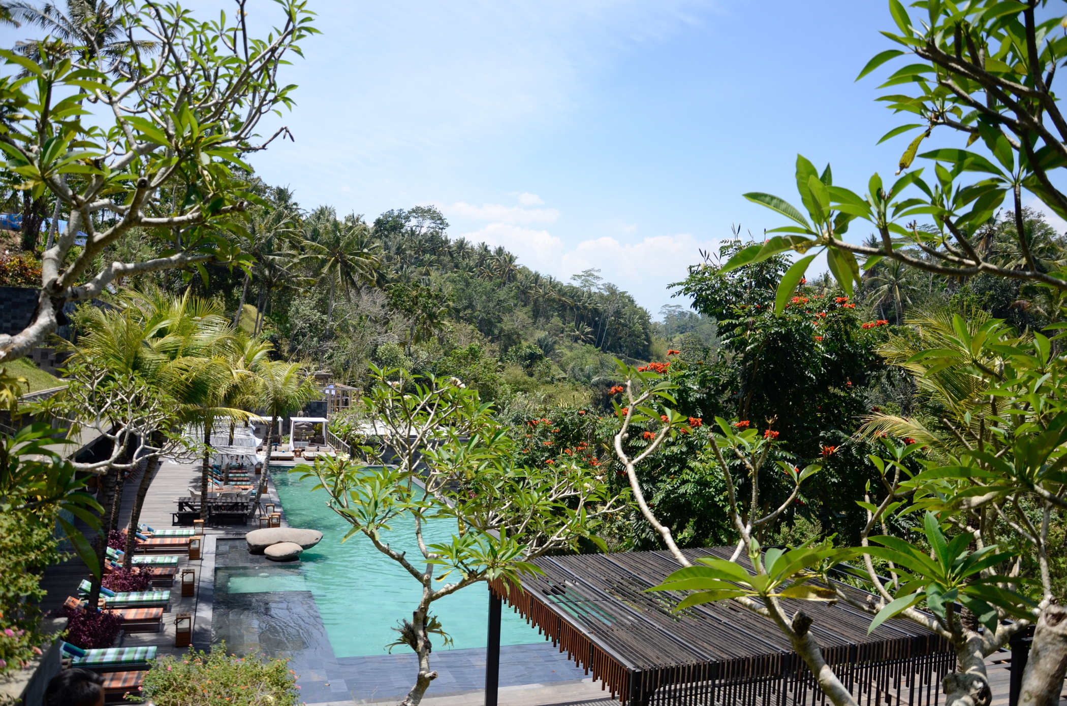 Pool im Ubud Hotel Chapung Se Bali 